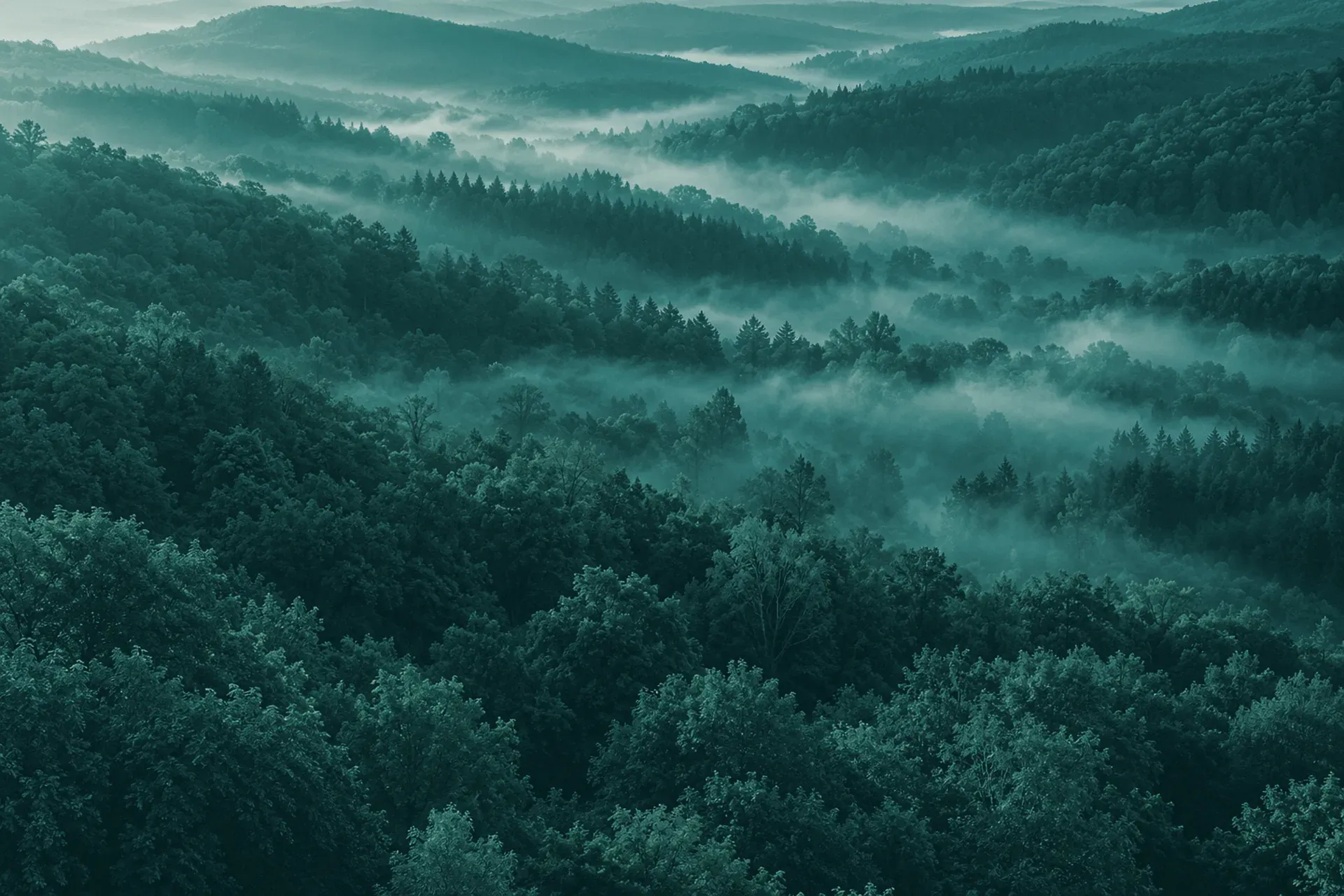 Des collines boisées dans la brume, au lever du jour.